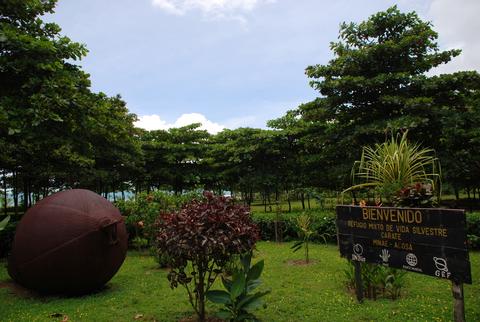 Carate Costa Rica
