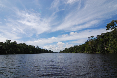 Caño Blanco photo 3
