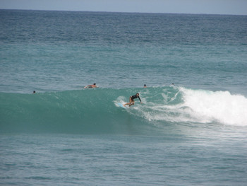 Cabo Matapalo photo 2