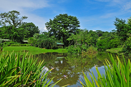 Horquetas de Sarapiqui Image