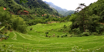 Mai Chau photo 2