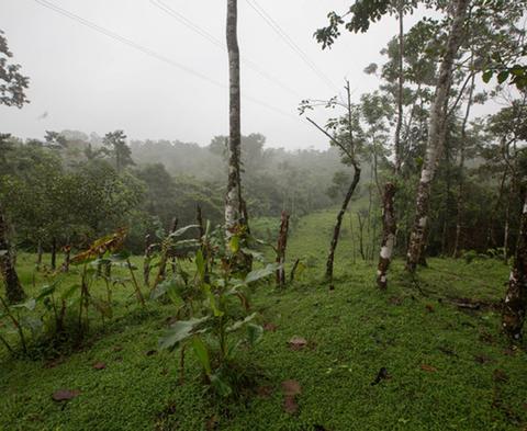 Santa Clara de San Carlos Costa Rica