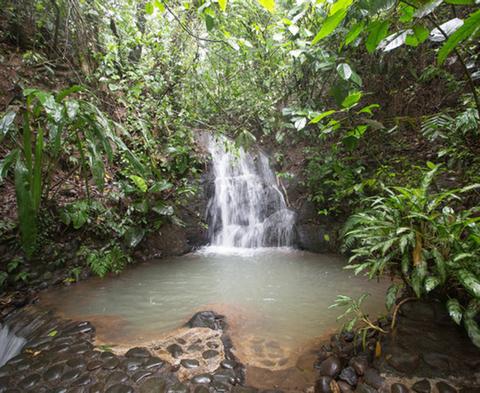 Santa Clara de San Carlos Costa Rica