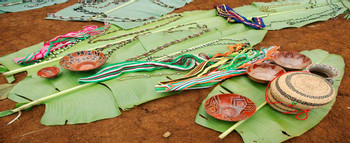 Achuar Tribal Lands photo 3