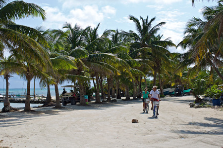 Cayo Ambergris photo 3