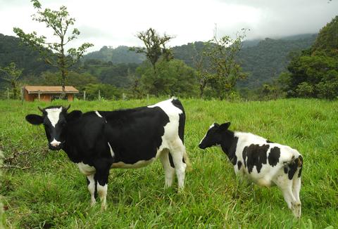 Bajos del Toro Costa Rica