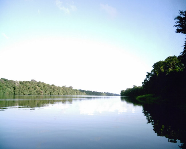 Barra del Colorado