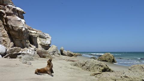 Destinos de Descanso y Relajación en Perú