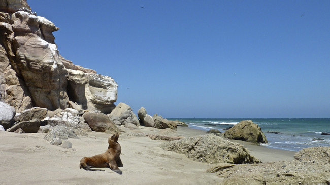 Cabo Blanco