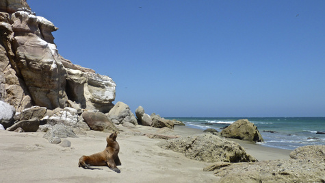Cabo Blanco