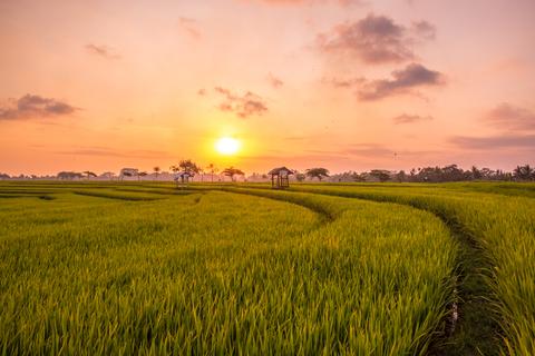 Canggu Indonesia