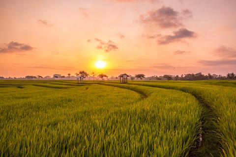 Canggu Indonesia