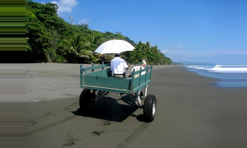 carate costa rica accommodations