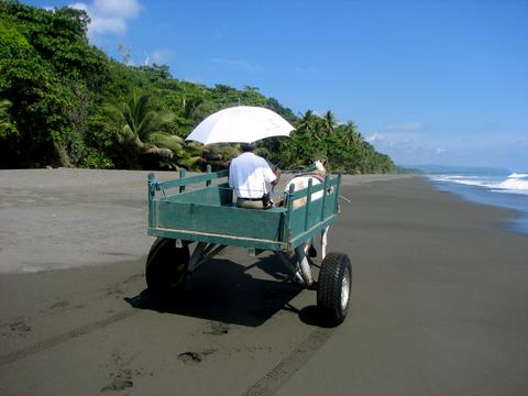 Carate Costa Rica