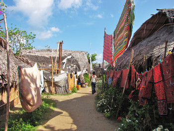 Cartí photo 3