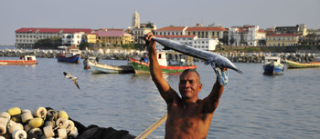 Casco Viejo photo 3