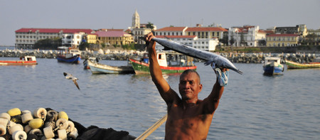 Casco Viejo photo 3