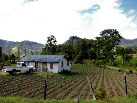 Cerro Punta Panama