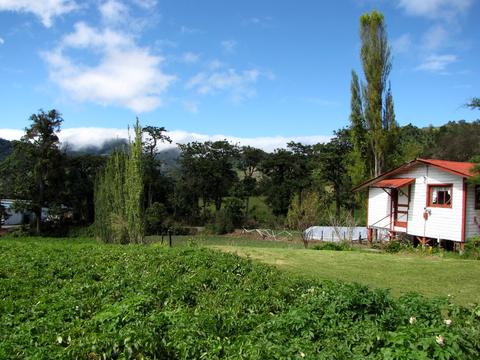 Cerro Punta Panama