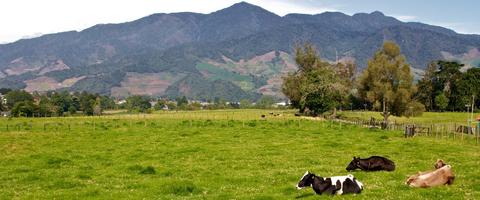 Cerro Punta Panama