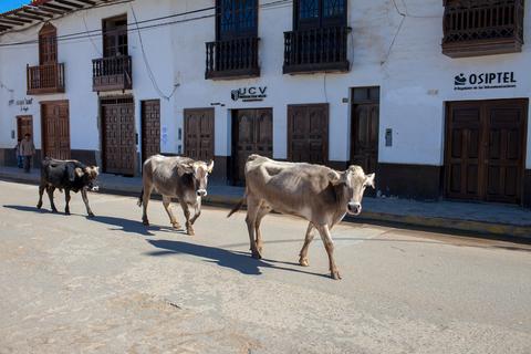 Chachapoyas Peru