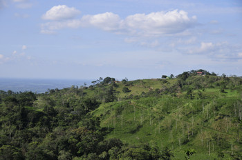 Ciudad Quesada photo 2