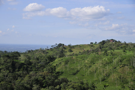 Ciudad Quesada photo 2