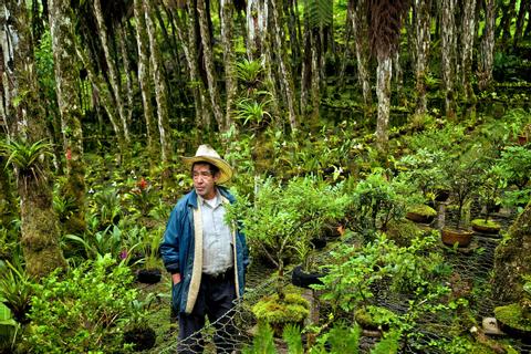 Cobán, Alta Verapaz Guatemala