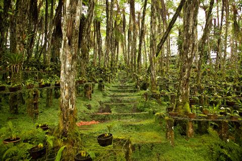 Cobán, Alta Verapaz Guatemala