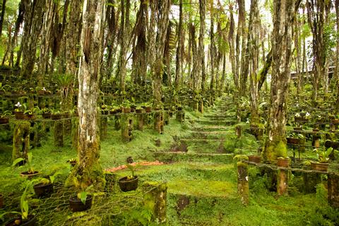 Cobán, Alta Verapaz Guatemala