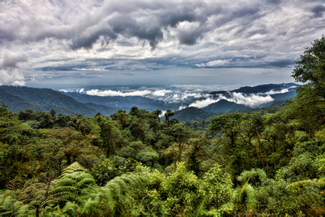 Cotundo