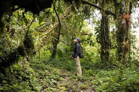 Cotundo Ecuador