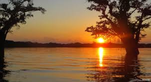 Cuyabeno Wildlife Reserve photo 2