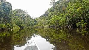 Cuyabeno Wildlife Reserve Ecuador