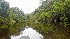 Reserva de Vida Silvestre Cuyabeno Ecuador