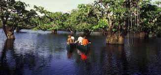 Cuyabeno Wildlife Reserve