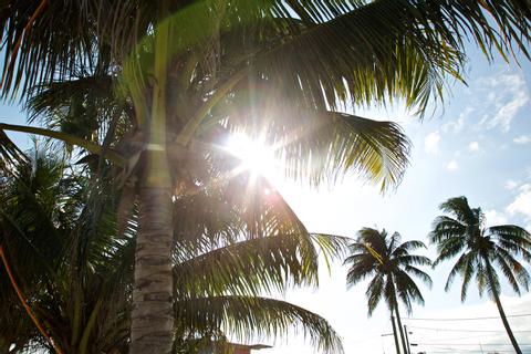 Dangriga Belize