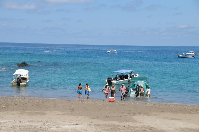 Drake Bay, South Pacific Costa Rica 2023 Travel Guide Anywhere