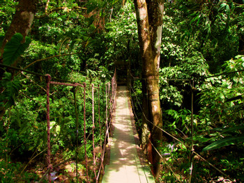 El Valle de Anton photo 3