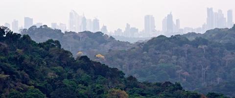 Panama Rainforests