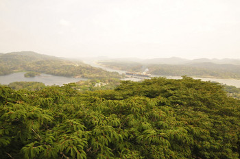 Gamboa photo 3