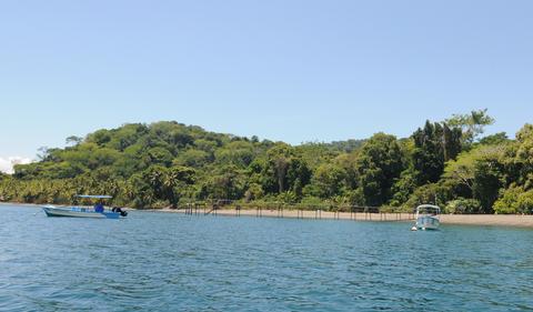 Golfo Dulce Costa Rica