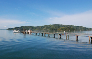 Golfo Dulce photo 3