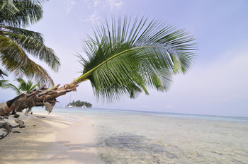 Guanidup Island photo 3