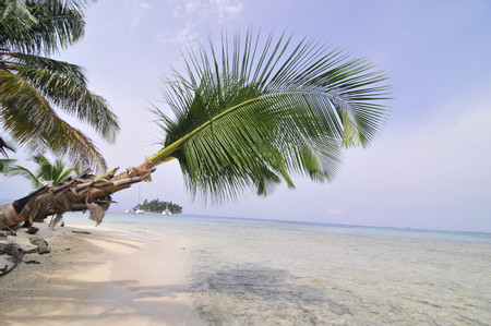 Guanidup Island photo 3