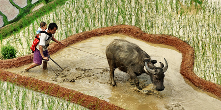 Ha Giang photo 3