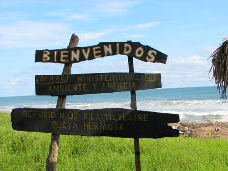 Playa Hermosa photo 3