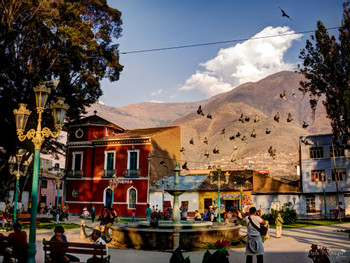 Peru Rainforests photo 3