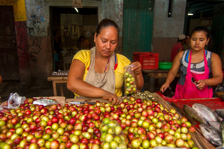 Iquitos photo 3