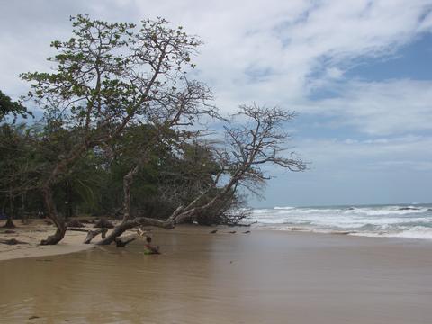 Isla Bastimentos Panama